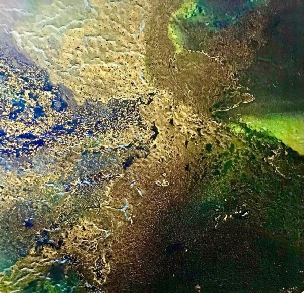 Amazonas 011