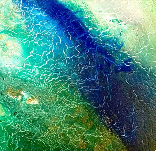 Amazonas 004